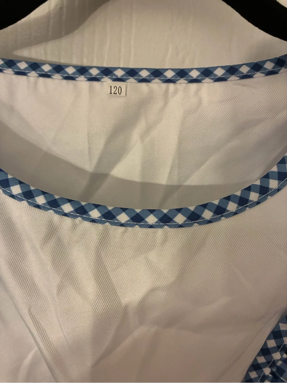 Girls Size 6-7 “Dorothy” Blue Gingham Kids Costume Dress with Red Button Accents